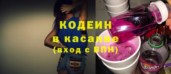 молекула духа Богданович