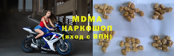 молекула духа Богданович