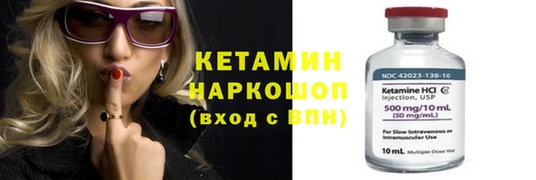 молекула духа Богданович