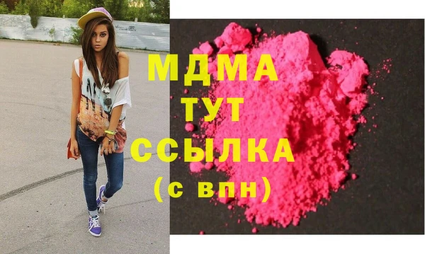 молекула духа Богданович
