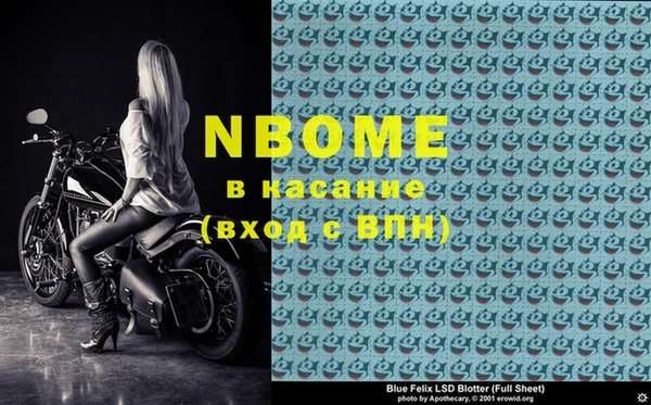 молекула духа Богданович