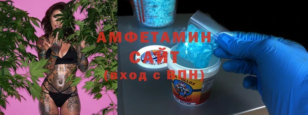 молекула духа Богданович