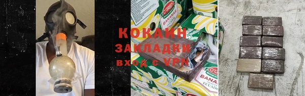 молекула духа Богданович