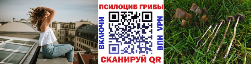 Галлюциногенные грибы мухоморы  где можно купить наркотик  shop Telegram  Суворов 